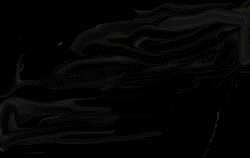 black dragon animation