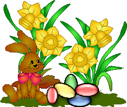Easter Daffodils and rabbit  amimation