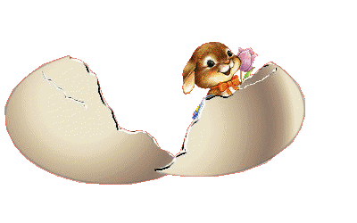 Egg Rabbit and Bunny  amimation