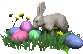 rabbit with eggs  amimation