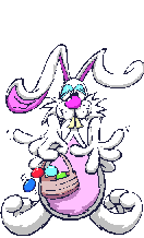 rabbit   amimation