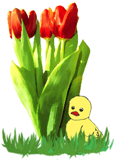  Easter Tulips and chicks amimation