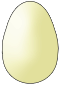 chick in egg  amimation
