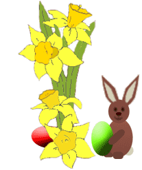 daffodils and bunny  amimation