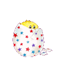 chick in egg  amimation