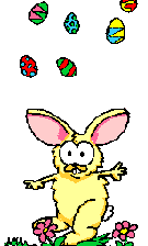 bunny and eggs  amimation