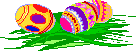 eggs  amimation