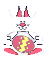 bunny  amimation