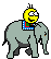tiny elephant  animation