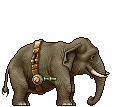 fighting elephant  animation