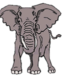 dancing elephant  animation