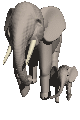 elephant mother and baby animation