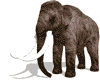 elephant  animation