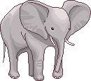 elephant  animation