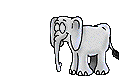 little  elephant  animation