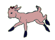 lamb    animation