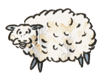  sheep   animation