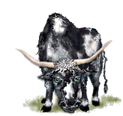  steer   animation