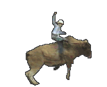 rodeo riding a bull   animation