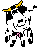  cow   animation