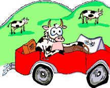  cows   animation