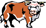 bull snorting    animation