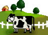 cow    animation
