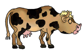  cow   animation