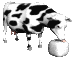  cow licking   animation