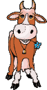 cow chewing a flower    animation