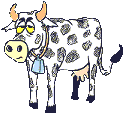 cow    animation