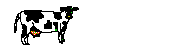  cow   animation