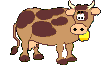 cow    animation