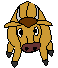  bull   animation