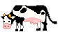  cow eating grass   animation