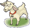 goat    animation