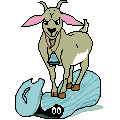  goat   animation