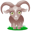 goat    animation