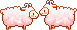 two loving  sheep   animation