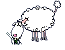  sheep eating grass  animation