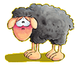  sheep crying  animation