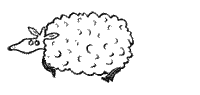  sheep running  animation