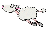  sheep   animation
