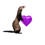 ferret with a purple heart  animations