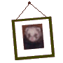 picture frame with a ferret  animations