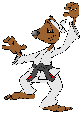 judo ferret  animations