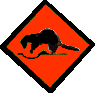 ferret  animations
