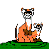heart ferret  animations