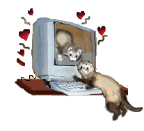ferret on a computer  animations