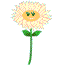 white flower  animation